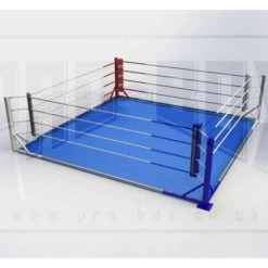Pro-Box Permanent Floor Fixed Rings – (With Or Without Mats)