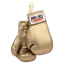 Pro-Box Golden Autograph Gloves