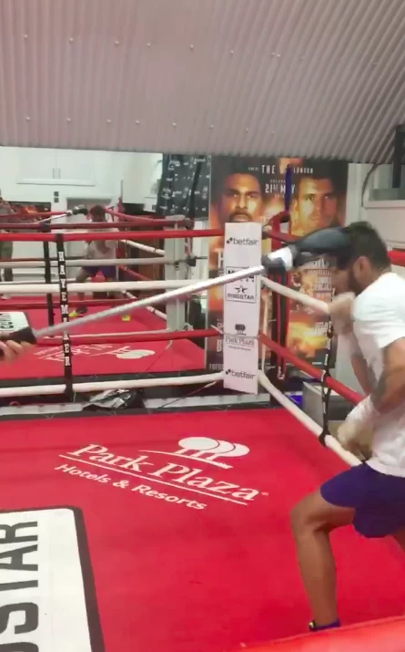 Sugar Ray’s Slip Stick Boxing Defence Tool - Image 3