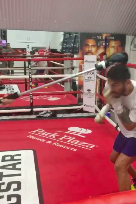 Sugar Ray’s Slip Stick Boxing Defence Tool - Image 2