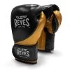 Cleto Reyes High Precision Training Gloves – Black/Gold